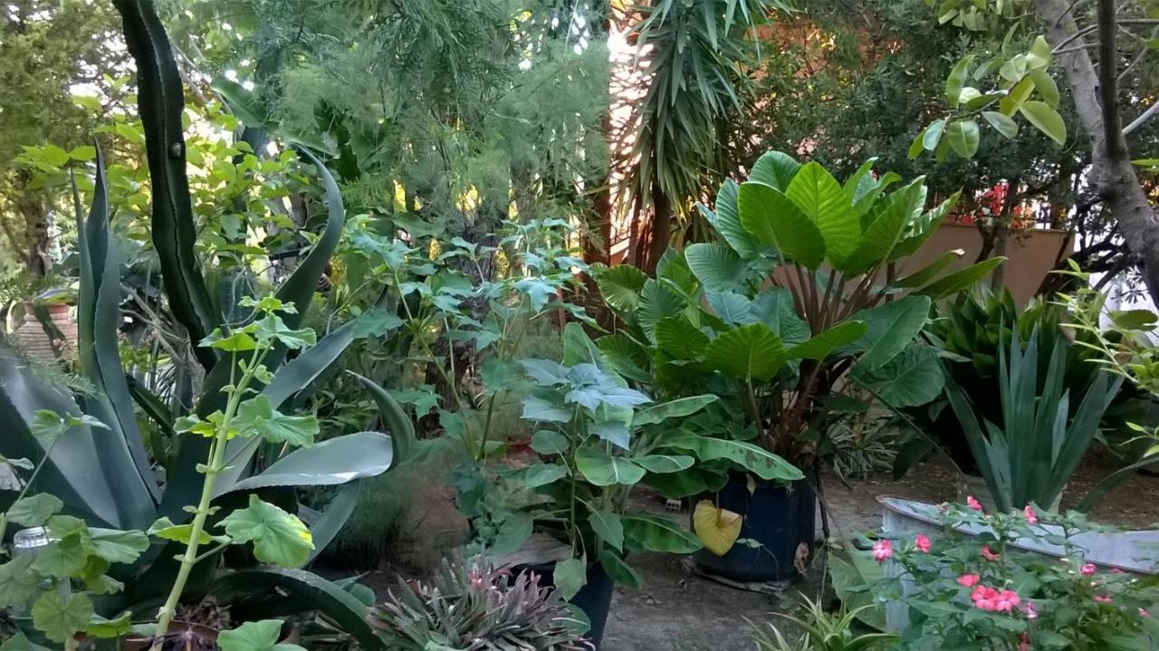 Baha-Ammes Lejlighed Svoronata Eksteriør billede